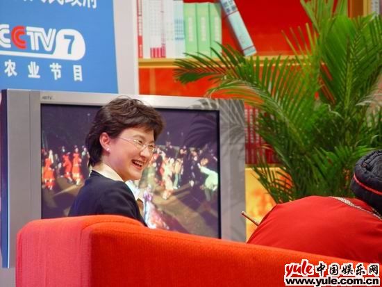 董倩