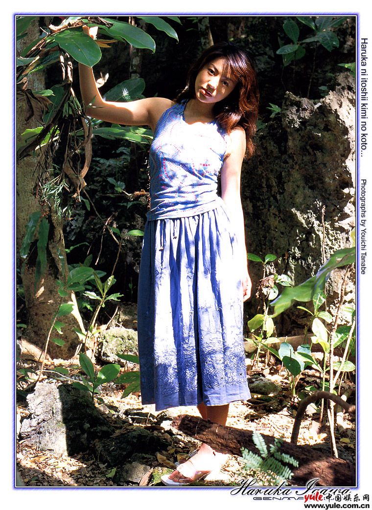 井川遥_明星档案_写真_图片_资料_照片_中国娱乐网